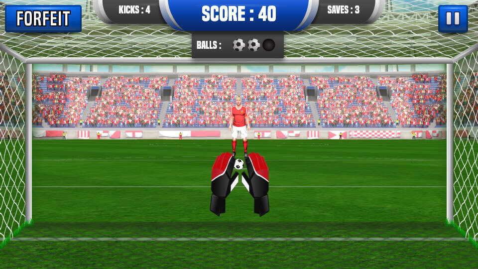 Expert Goalkeeper